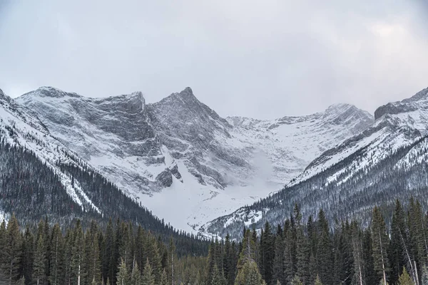 Kananaskis País Invierno Alberta Canadae —  Fotos de Stock