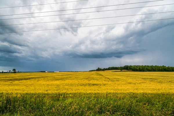 Storm Clouds Ground South Ontario Canada — Stock Photo, Image