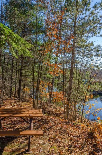 Floresta Lago Killarney Park Durante Temporada Outono — Fotografia de Stock