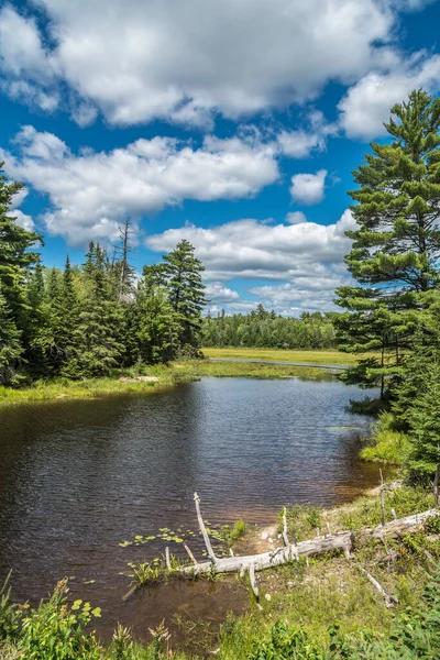 Yaz mevsiminde Forest Gölü. Killarney. Kanada