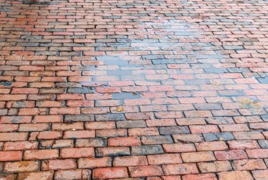 Gri ve kırmızı tuğlalı kaldırım, Toronto.