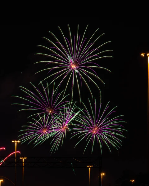 Color Fireworks Black Sky Background — Stock Photo, Image