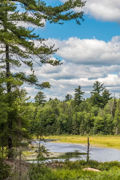 Lac Forestier Été Killarney Canada — Photo