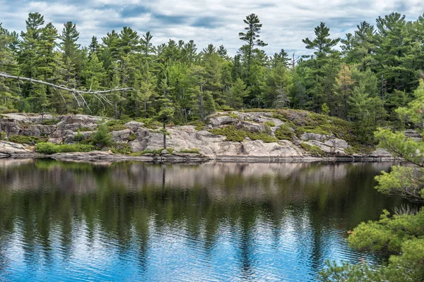 Lac Forestier Été Grundy Lake Park Canada — Photo