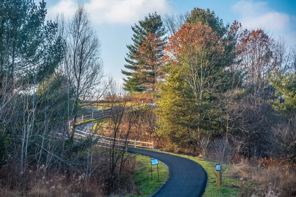 Camino Curvo Bosque Invierno Canadá — Foto de Stock