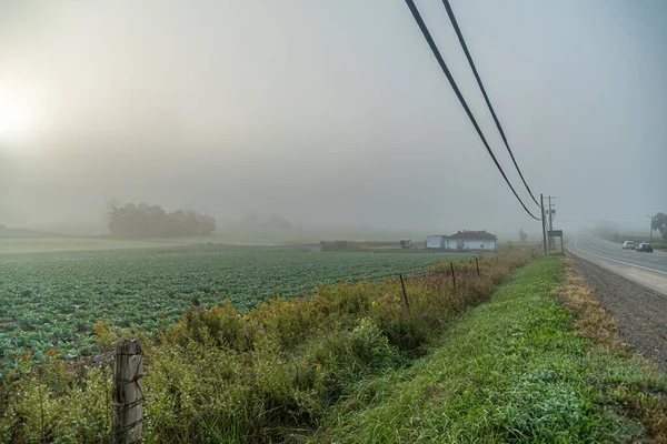 Fuerte Niebla Carretera Por Mañana — Foto de Stock