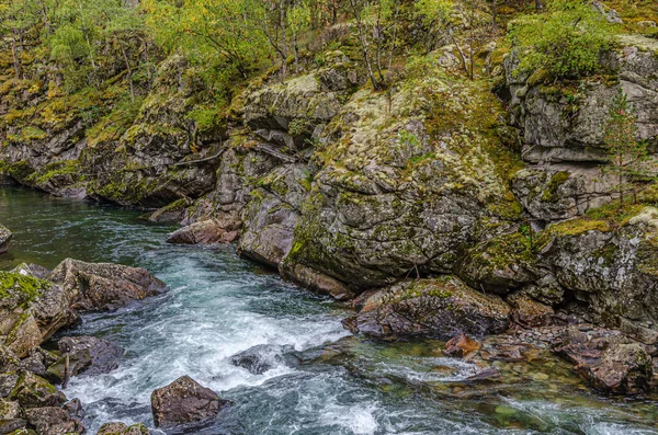 Vista Sul Fiume Montagna Paesi Bassi — Foto Stock