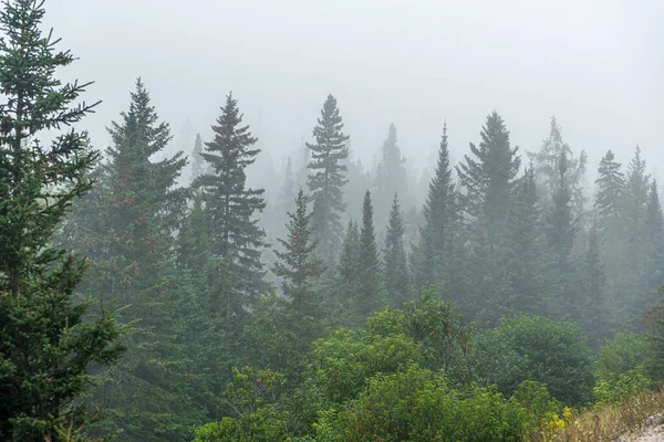 Starker Nebel Auf Waldhügeln Der Nähe Des Superior Lake Kanada — Stockfoto