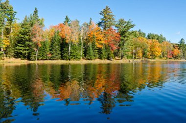 Killarney Park, Kanada 'da Orman Gölü' nün üzerinde gün doğumu