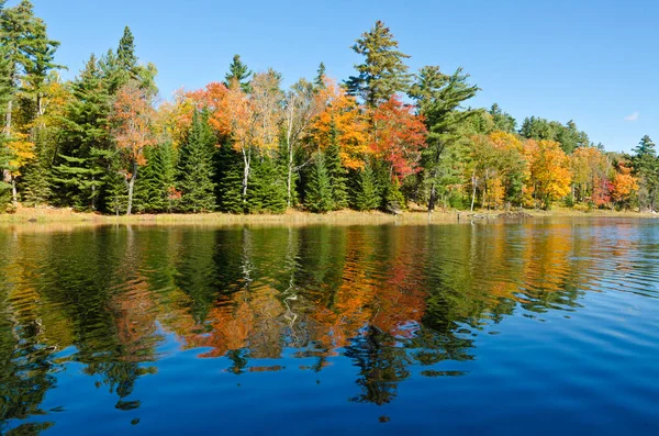 Salida Del Sol Sobre Lago Del Bosque Parque Killarney Canadá — Foto de Stock