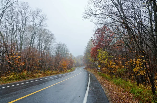 Nevoeiro Acima Estrada Floresta Tempo Outono Quebec Canadá — Fotografia de Stock