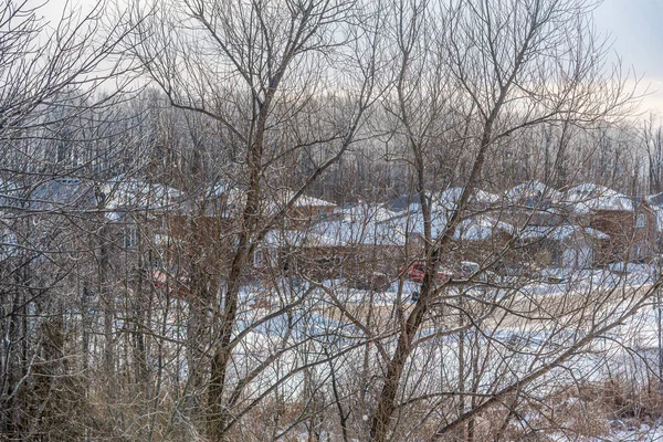 Δάσος Κάτω Από Χιόνι Χειμώνα Συννεφιασμένη Ημέρα — Φωτογραφία Αρχείου