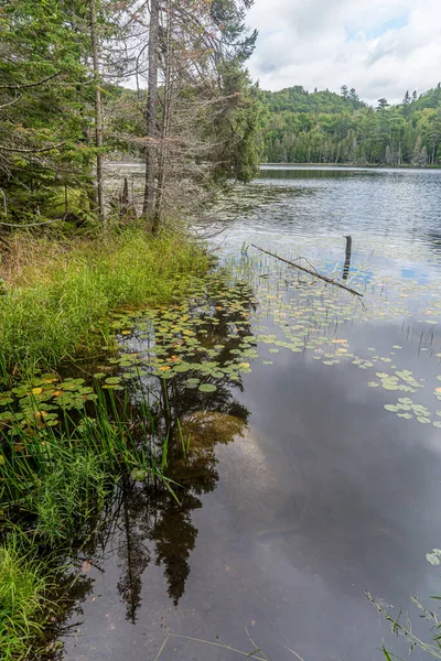 Lago Del Bosque Horario Verano Maskoka Canadá —  Fotos de Stock