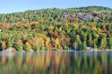 Killarney Park, Kanada 'da Orman Gölü' nün üzerinde gün doğumu