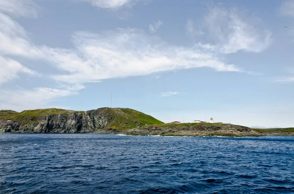 Newfoundlandské Pobřeží Létě — Stock fotografie