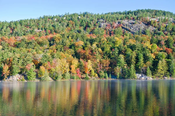 Killarney Park, Kanada 'da Orman Gölü' nün üzerinde gün doğumu