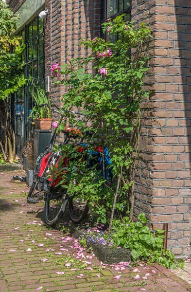 Amszterdam Belvárosának Régi Utcája — Stock Fotó