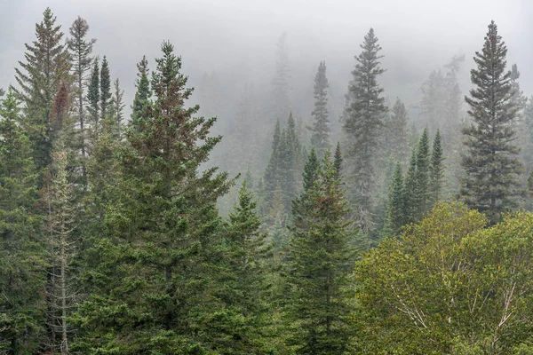 Starker Nebel Auf Waldhügeln Der Nähe Des Superior Lake Kanada — Stockfoto