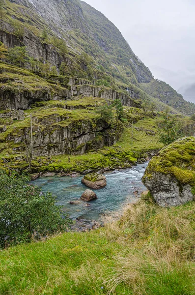 Vista Sul Fiume Montagna Paesi Bassi — Foto Stock