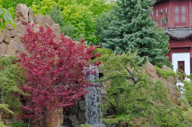 Bahar parkında renkli bitkiler ve yapraklar