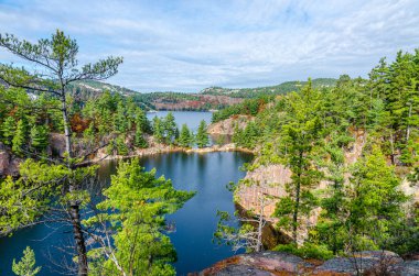 Killarney Park 'taki Orman Gölü Sonbahar mevsimi boyunca