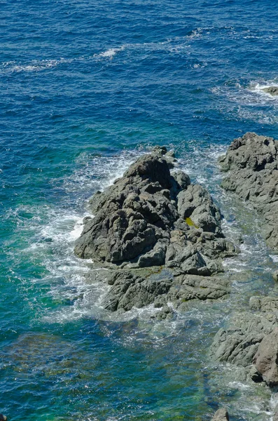 Shore Newfoundland Canada Sunny Day — Stock Photo, Image