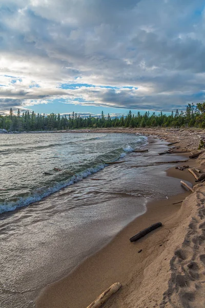 Drewno Dryfujące Piaszczystej Plaży Superior Lake Kanada — Zdjęcie stockowe