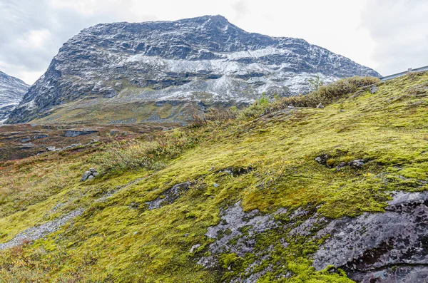Bergen Hooglanden Noorwegen Herfst — Stockfoto
