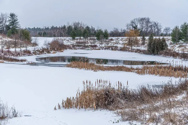 Lago Congelado Invierno Día Nublado — Foto de Stock