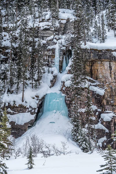 Lake Louise Banff Park Winter Alberta Canada — Stockfoto