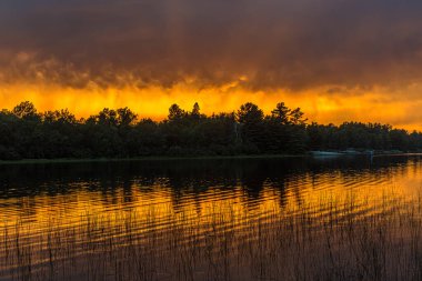 Grundy Lake Park, Kanada 'da orman gölü üzerinde gün batımı
