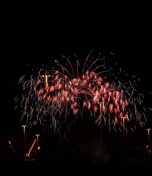 Color Fireworks Black Sky Background — Stock Photo, Image