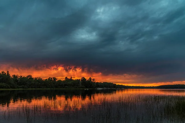 Pôr Sol Acima Lago Floresta Parque Grundy Lake Canadá — Fotografia de Stock