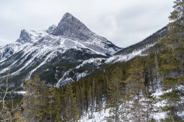 Canmore yakınlarındaki Rocky Dağları, Alberta, Kanada