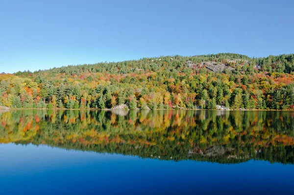 Alba Sopra Lago Foresta Nel Parco Killarney Canada — Foto Stock