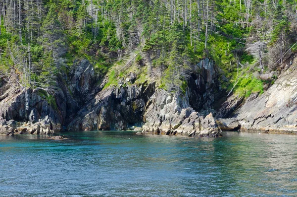 阳光灿烂的加拿大纽芬兰海岸 — 图库照片