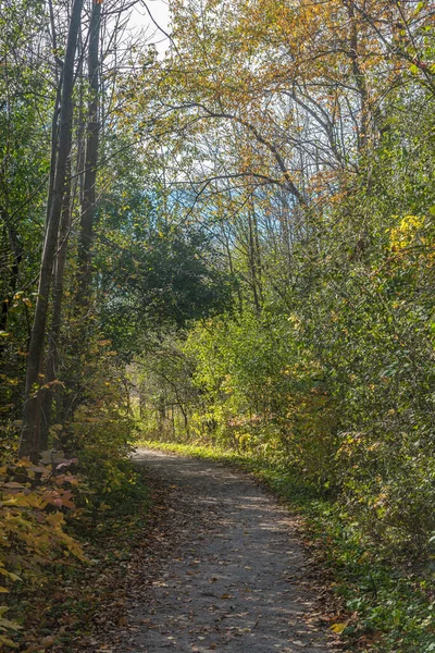 Park Herfst Buurt Van Toronto Canada — Stockfoto