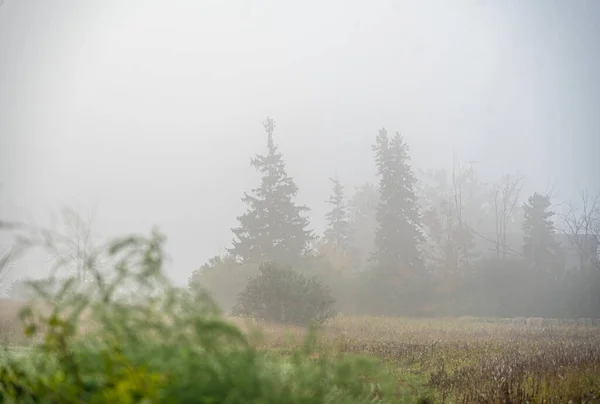 Fuerte Niebla Granja Rural Mañana —  Fotos de Stock