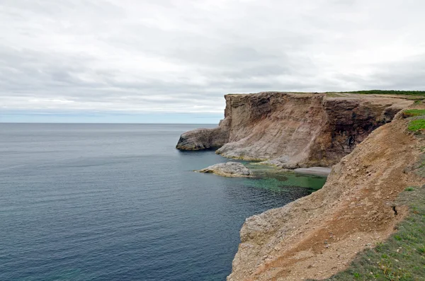 Cliff ve newfoundland shore — Stok fotoğraf