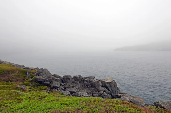 Kust van Newfoundland — Stockfoto