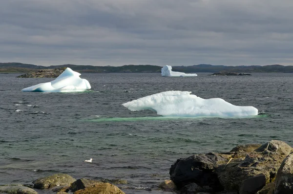 Iceberg bianco brillante — Foto Stock