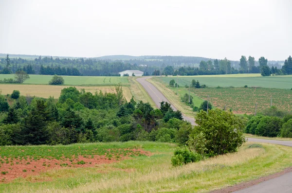 Weergave van velden en bossen — Stockfoto