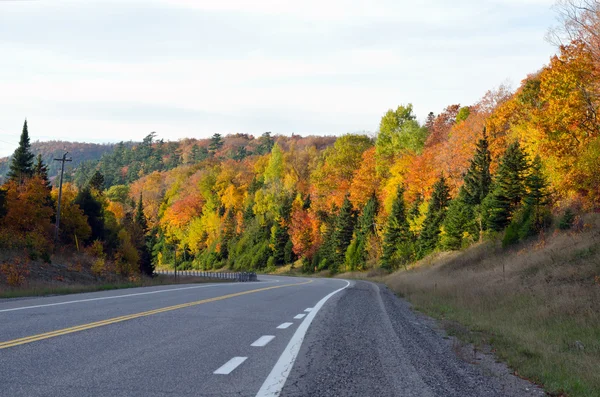 Trans Canada highway — Stock fotografie