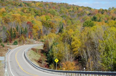 Algonquin Park Road