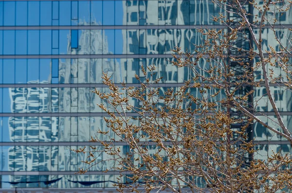 Chicago byggnader — Stockfoto