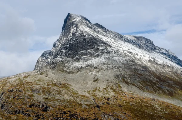 Norveç highland