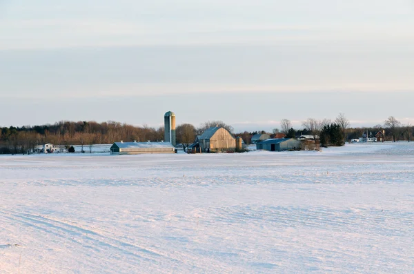 Snow field — Stock Photo, Image