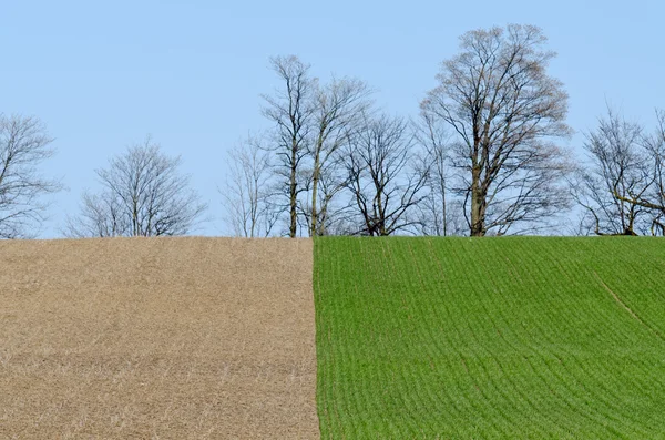 Obhospodařované zemědělci pole — Stock fotografie