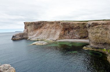 Cliff ve newfoundland shore