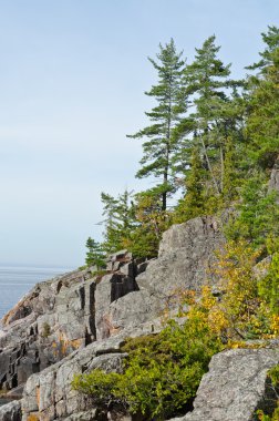 Sonbahar'ın renkli ağaçlar